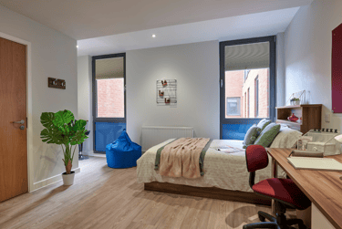 Deluxe Studio - Image 5